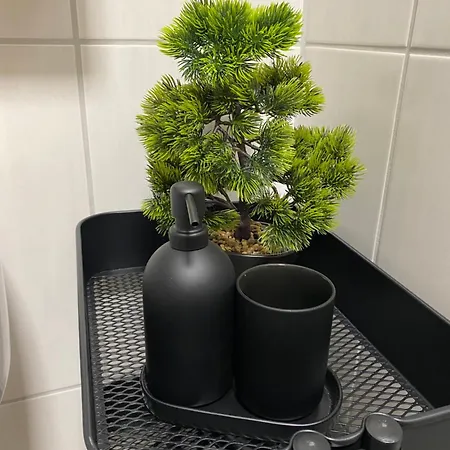 Kilz Ii In 公寓 Gensingen