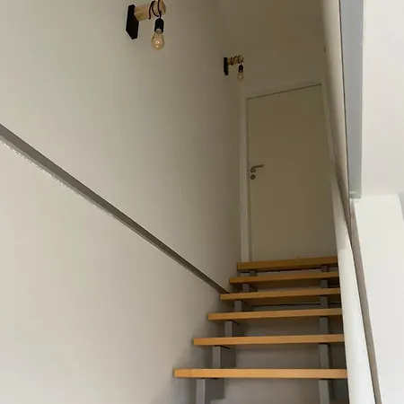 Kilz Ii In Apartment